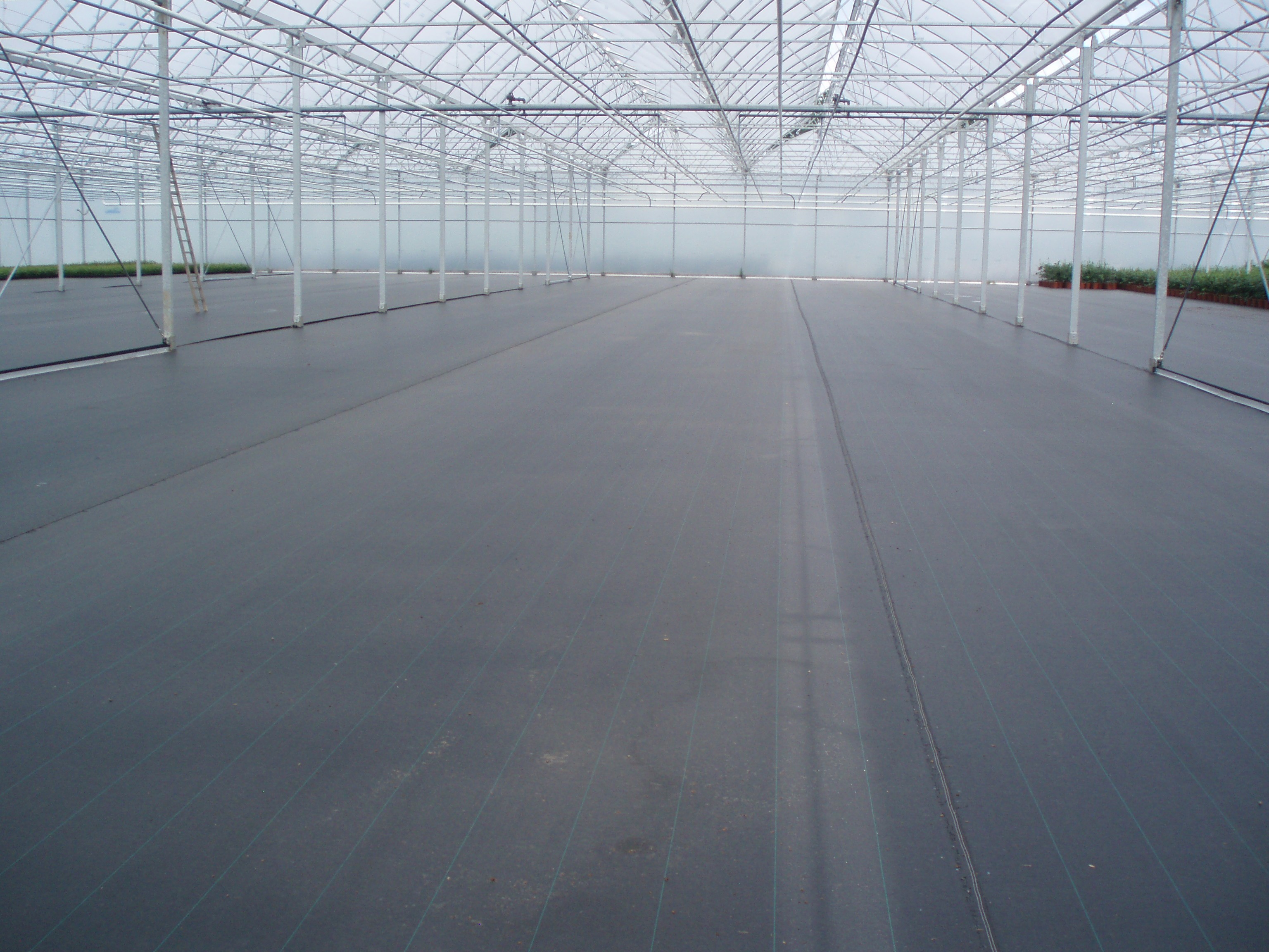 agrojutex-4.jpg